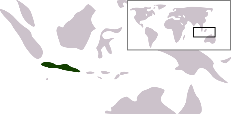 Java - umístnění na mapě světa